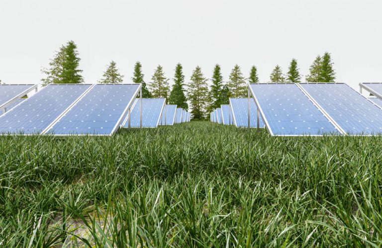 How AI is Helping to Build a More Sustainable Future